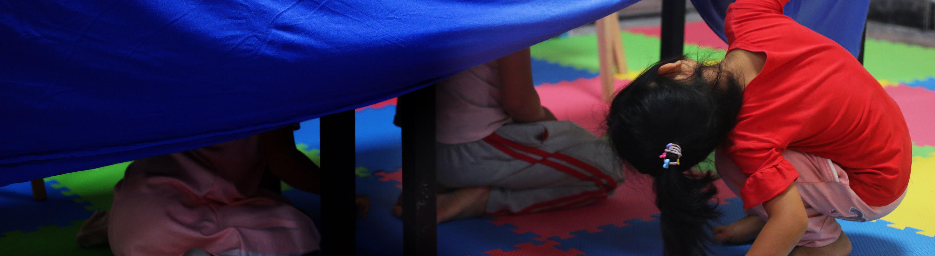 2021 CFS Tracker banner for website.jpg