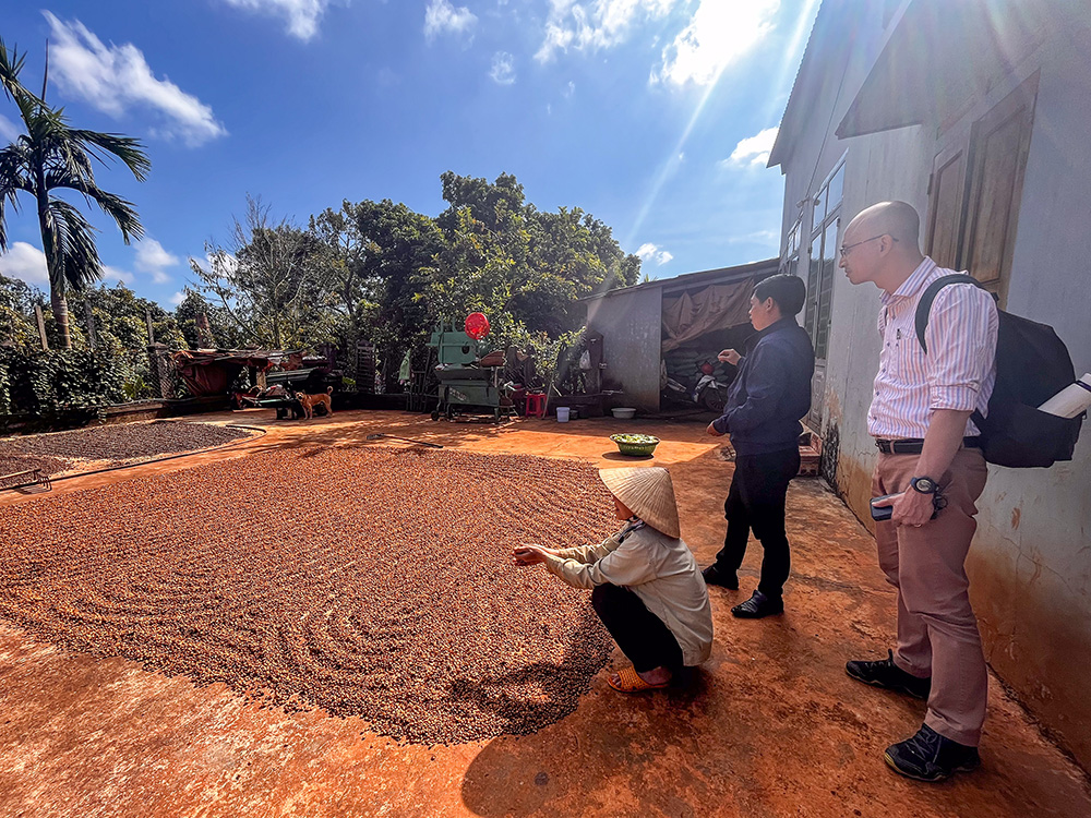 Understand and Address Risks