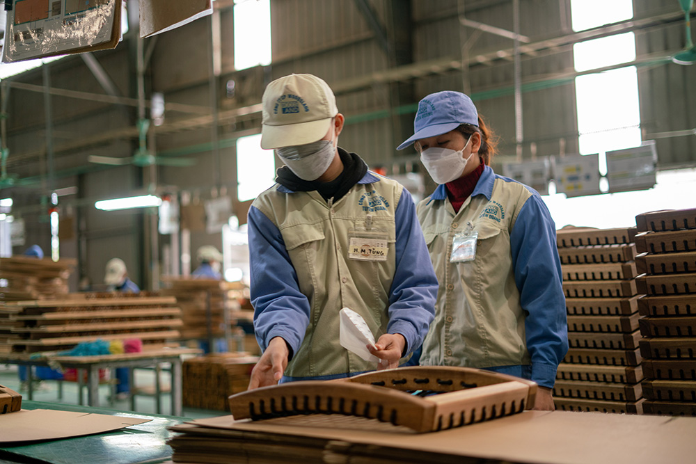 Access to Decent Work for Youth (AD-Y) Programme