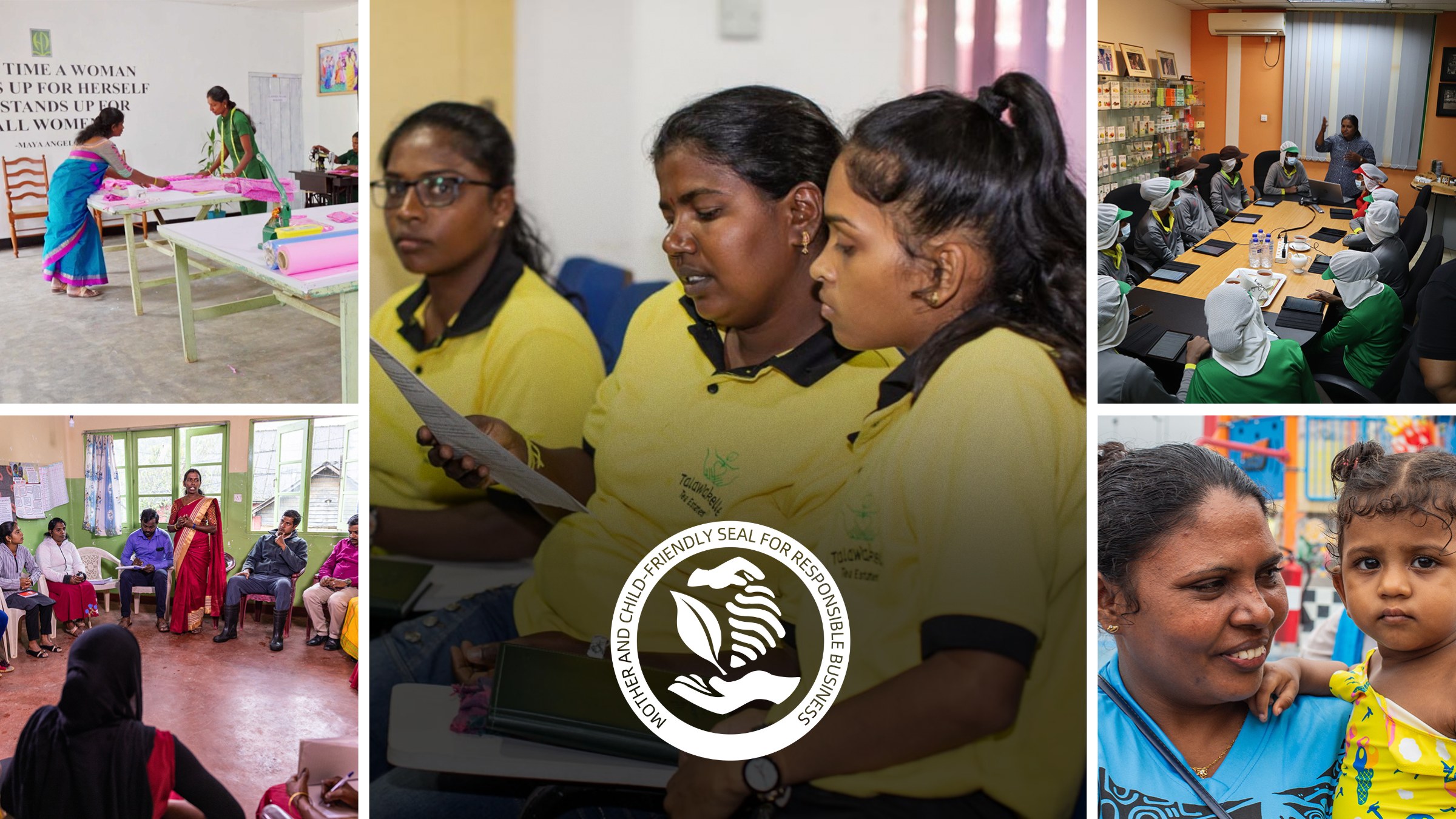 Marking Two Years of Positive Change with the Seal Initiative in Sri Lanka&rsquo;s Tea Sector