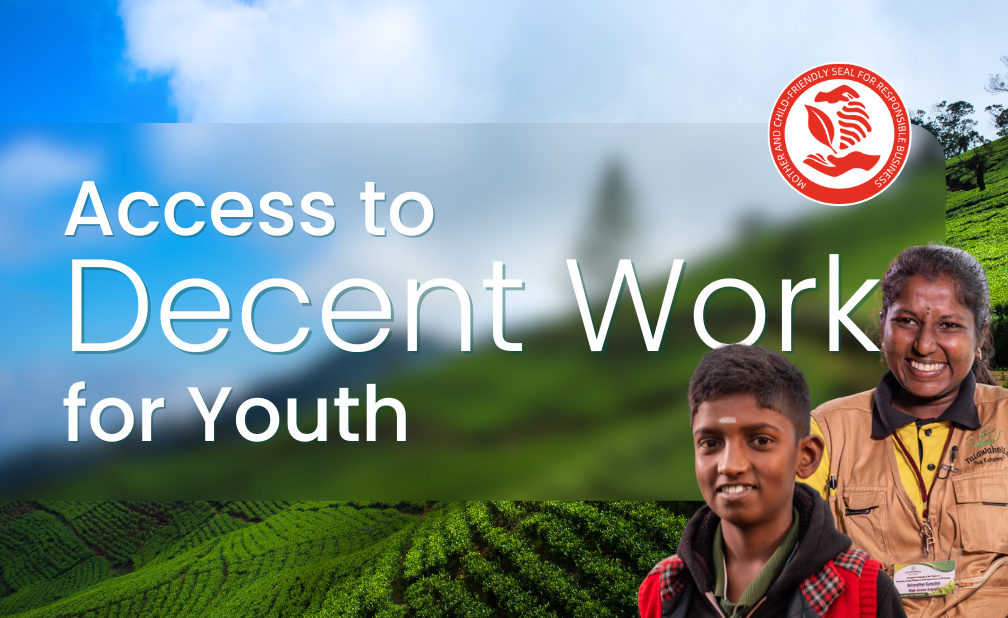 CEO Reflections: Where are the Youth? Access to Decent Work for Youth in the Tea and Tourism Sectors